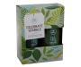 Paul Mitchell Tea Tree Special Celebrate Sparkle